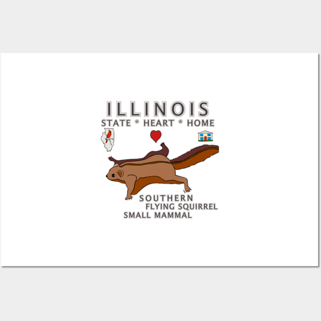 Illinois - Southern Flying Squirrel - State, Heart, Home - small mammal Wall Art by cfmacomber